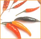 Thai cooking classes in Seattle. Seattle Thai food